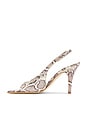 view 5 of 5 Maureen Heels in Python