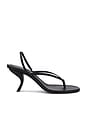 view 1 of 5 Aurora Sandal in Black
