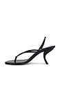 view 5 of 5 Aurora Sandal in Black