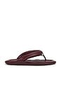 view 1 of 5 Harper Sandal in Bordeaux