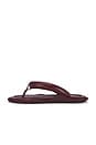 view 5 of 5 Harper Sandal in Bordeaux