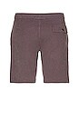 view 2 of 4 Flex Pro Tulum Shorts in Magnet