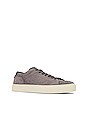 view 2 of 6 Edge Lo Top Premium Sneaker in Charcoal