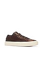 view 2 of 6 Edge Lo Top Premium Sneaker in Dark Brown