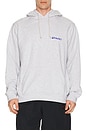 view 3 of 4 Snail Hooded Swatshirt in Heather Ash