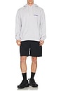 view 4 of 4 Snail Hooded Swatshirt in Heather Ash