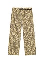 view 5 of 5 Taos Canvas Pant in Khaki Reed
