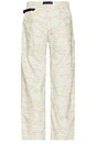 view 2 of 5 PANTALON CANVAS in Sand Camo