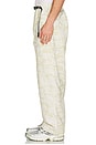 view 4 of 5 PANTALON CANVAS in Sand Camo
