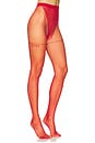 view 1 of 2 Logo Pantyhose in Bordeaux