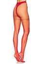 view 2 of 2 Logo Pantyhose in Bordeaux