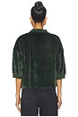 view 3 of 5 Chenille Kittho Patch Cropped Polo Shirt in Sage Green