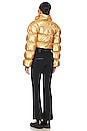 view 4 of 4 Snowball Ski Jumpsuit in Gold