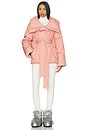 view 5 of 5 Liz Jacket in Cameo