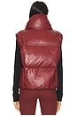 view 3 of 4 Balou Bodywarmer in Vino Rosso