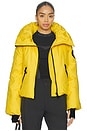 view 1 of 7 Porter Ski Jacket in Limone