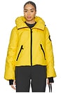 view 2 of 7 Porter Ski Jacket in Limone