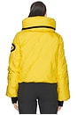 view 4 of 7 Porter Ski Jacket in Limone