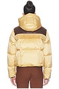 view 5 of 6 Rin Jacket in Lark