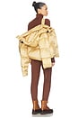 view 6 of 6 Rin Jacket in Lark