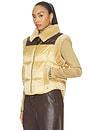 view 2 of 4 Kumo Bodywarmer in Lark