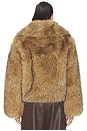view 5 of 5 Nuku Jacket in Lark