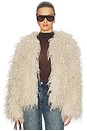 view 1 of 5 Yua Jacket in Pebble