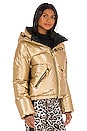 view 3 of 5 Balloon Jacket in Gold