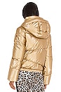 view 4 of 5 Balloon Jacket in Gold