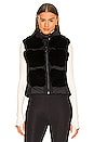 view 2 of 5 Chic Faux Fur Vest in Black