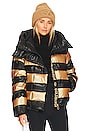 view 1 of 5 Dazzle Jacket in Gold & Black