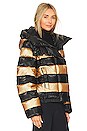 view 3 of 5 Dazzle Jacket in Gold & Black