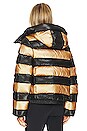 view 4 of 5 Dazzle Jacket in Gold & Black