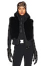 view 1 of 5 Faux Fur Hug Vest in Black