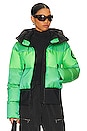 view 1 of 6 Fever Ski Jacket in Flash Green