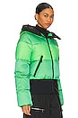view 3 of 6 Fever Ski Jacket in Flash Green