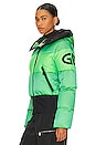 view 4 of 6 Fever Ski Jacket in Flash Green