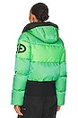 view 5 of 6 Fever Ski Jacket in Flash Green