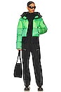 view 6 of 6 Fever Ski Jacket in Flash Green