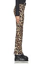 view 3 of 6 Minou Ski Pant in Jaguar