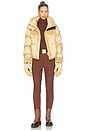 view 6 of 6 Paris Ski Pants in Deep Mocha