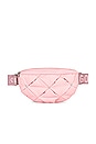 view 2 of 6 Stones Fanny Pack in Cotton Candy