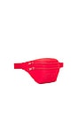 view 4 of 6 Col Fanny Pack in Flame