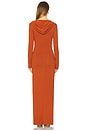 view 3 of 3 Long Sleeve Maxi Dress in Brown