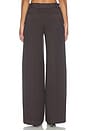 view 5 of 6 Pleated Tailored Trouser in Brown