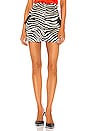 view 1 of 5 Zebra Skirt in Black & White