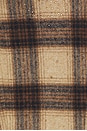 view 5 of 5 Plaid Top in Beige