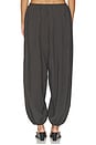 view 4 of 6 PANTALON ELIOT in Gloom