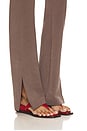 view 6 of 6 Aria Pant in Brown