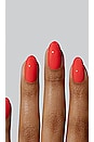 view 3 of 4 Toro Sashimi Gel Nail Polish in 